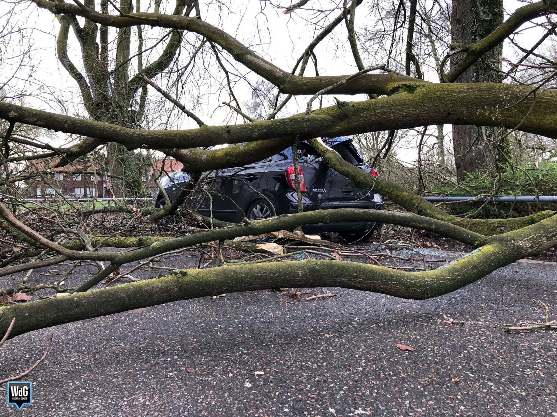 Storm Zorgt Voor Nodige Overlast (foto's) | Weertdegekste.nl