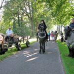 Paard bij Avond4daagse Altweerterheide