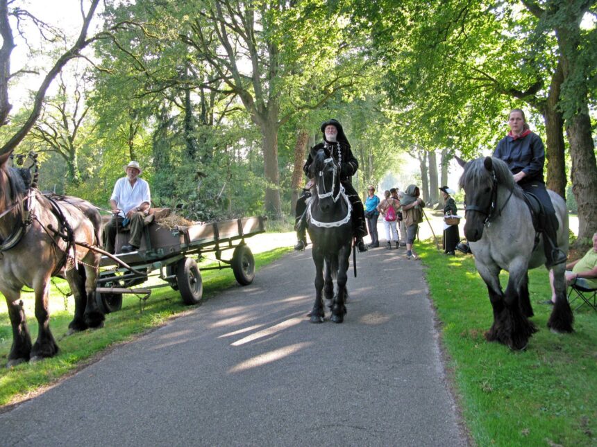 Paard bij Avond4daagse Altweerterheide