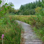 klimaatbuffer Heijkersbroek