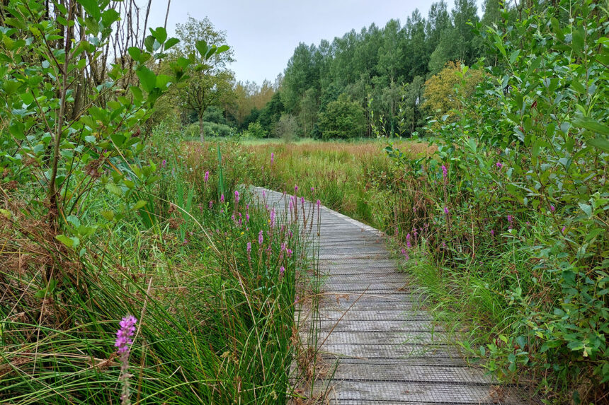 klimaatbuffer Heijkersbroek