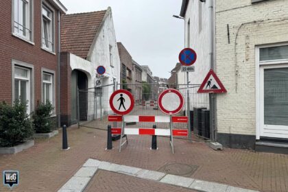 Kopgevel oude stadsboerderij staat op in storten