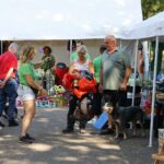 Rommelmarkt bij de Dierenambulance Midden-Limburg