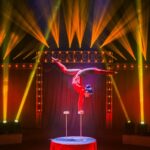 Sandor Donnert’s Magical World of Circus