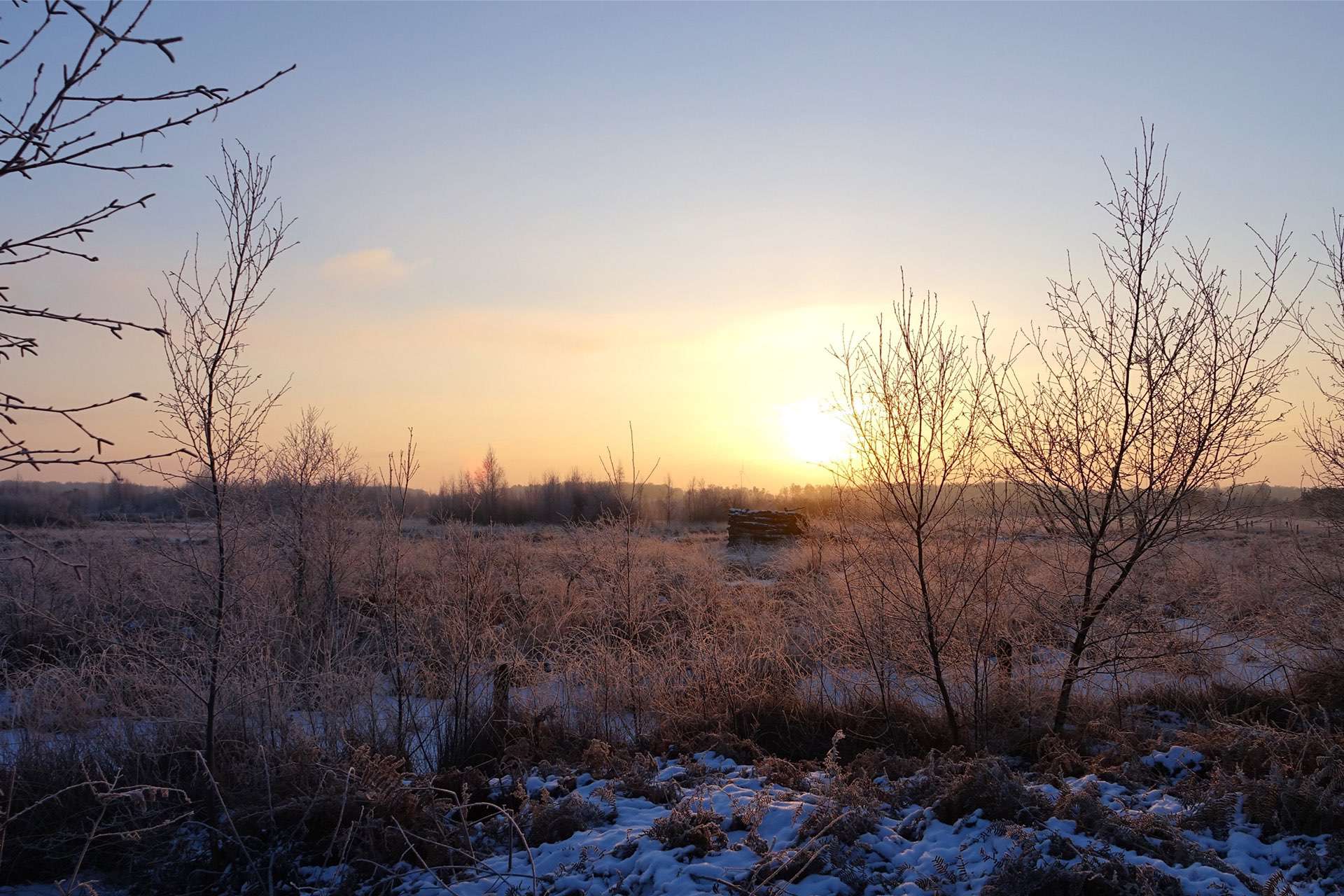 Nationaal Park De Groote Peel