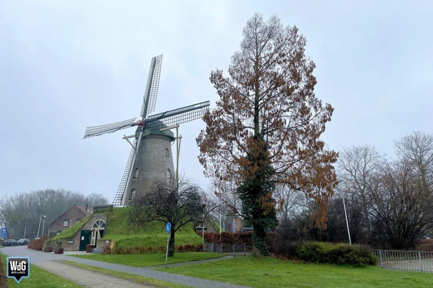 Archieffoto WdG - Boom bij de Wilhelmus Hubertusmolen