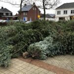 Inzamelpunt kerstbomen op Boshoven