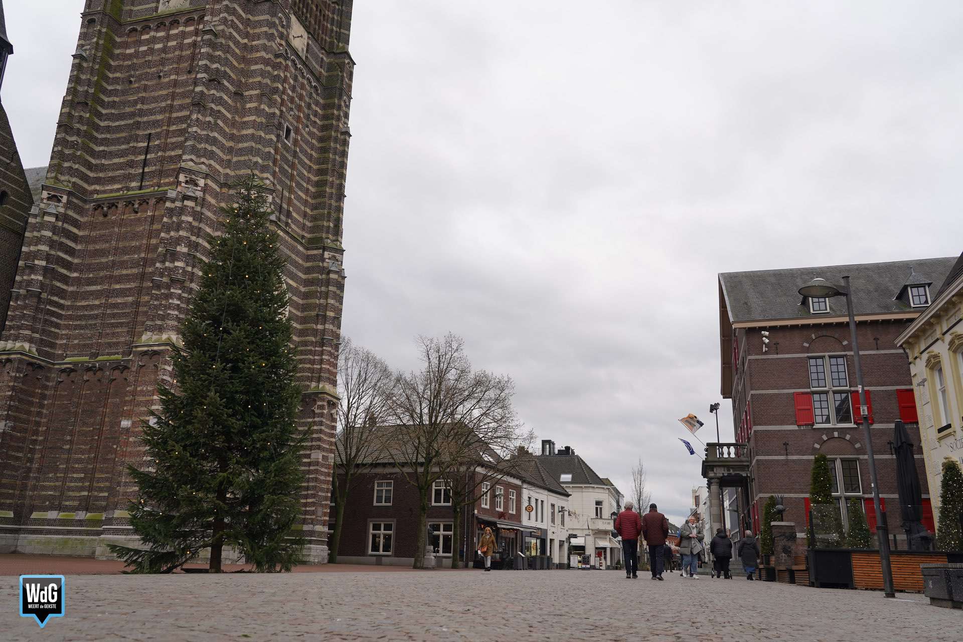 kerstboom Markt