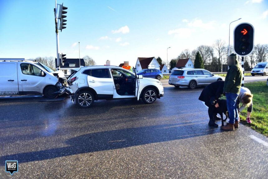 kop-staartbotsing Someren