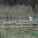 winterwandeling