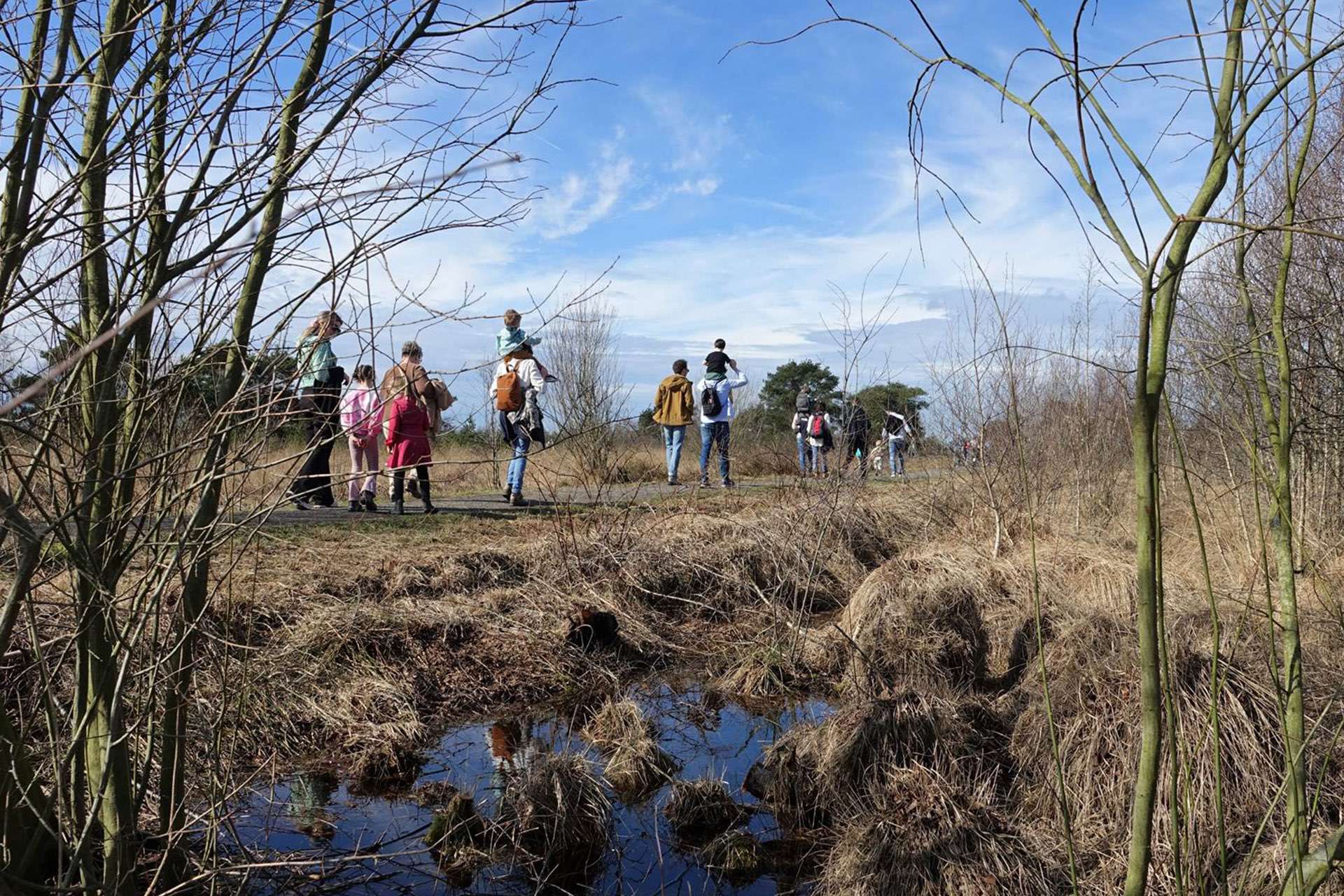 Nationaal Park de Groote Peel