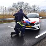 Automobilist aangehouden na ongeval op Venloseweg in Ospel