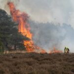 Metershoge vlammen bij grote natuurbrand in Laurabossen