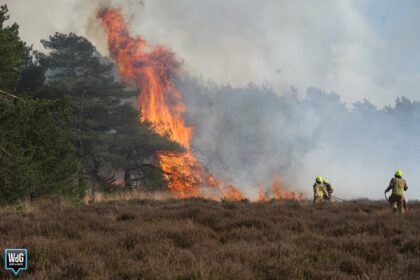 Metershoge vlammen bij grote natuurbrand in Laurabossen