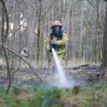 Brandweer blust grondvuur in bosgebied Maarheeze