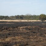 Brandweer dooft laatste rookpluimpjes in Laurabossen