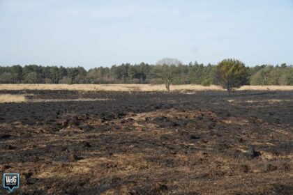 Brandweer dooft laatste rookpluimpjes in Laurabossen