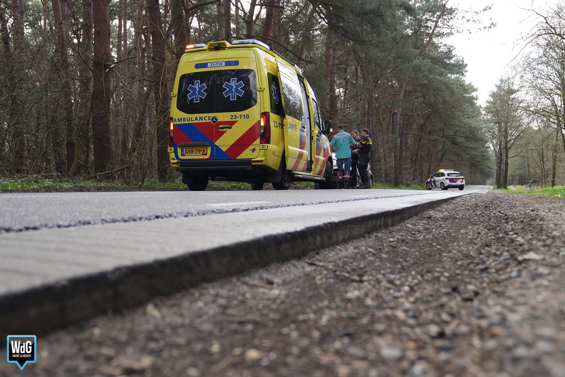 Auto botst tegen boom na uitwijkmanoeuvre in diepe berm