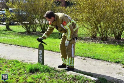 Brandweer redt kauw uit schoorsteen in Nederweert