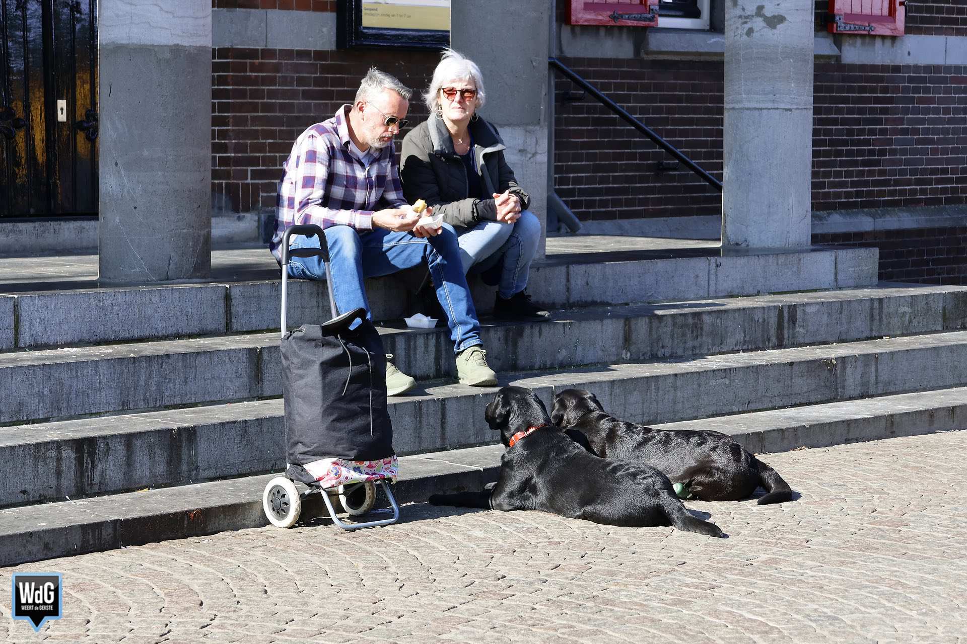 Zonnige weekmarkt in beeld